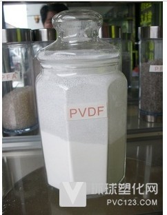 蘇威噴涂粉 PVDF/6019