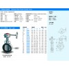 臺(tái)灣品牌 蘇州巨瀚供應(yīng)BV132不銹鋼對(duì)夾齒輪式蝶閥 質(zhì)量好