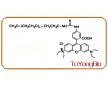 甲氧基羅丹明	mPEG-RB 上海拓旸生物