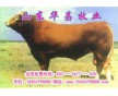 山東養(yǎng)?；睾８Ｌ嘏r格怎樣