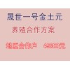 洛陽(yáng)可信賴的土元養(yǎng)殖合作公司，當(dāng)屬晟世養(yǎng)殖農(nóng)業(yè)公司_的土