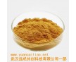 鎖陽(yáng)提取物