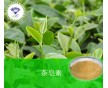 產(chǎn)品供應(yīng) 茶皂素/8047-15-2