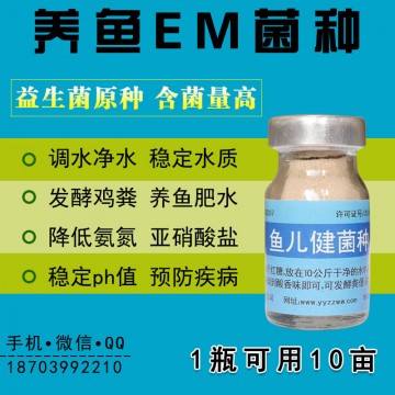 魚塘水發(fā)黑發(fā)紅提前調(diào)控用em菌復合益生菌