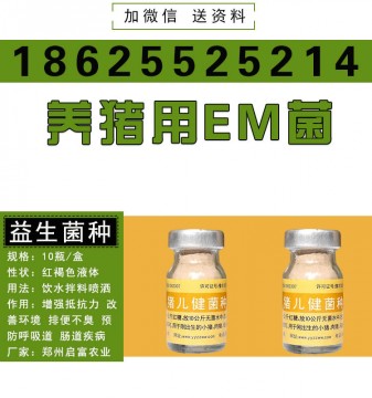 豬舍臭味重用什么方法可以徹底解決問(wèn)題快來(lái)試試養(yǎng)豬益生菌